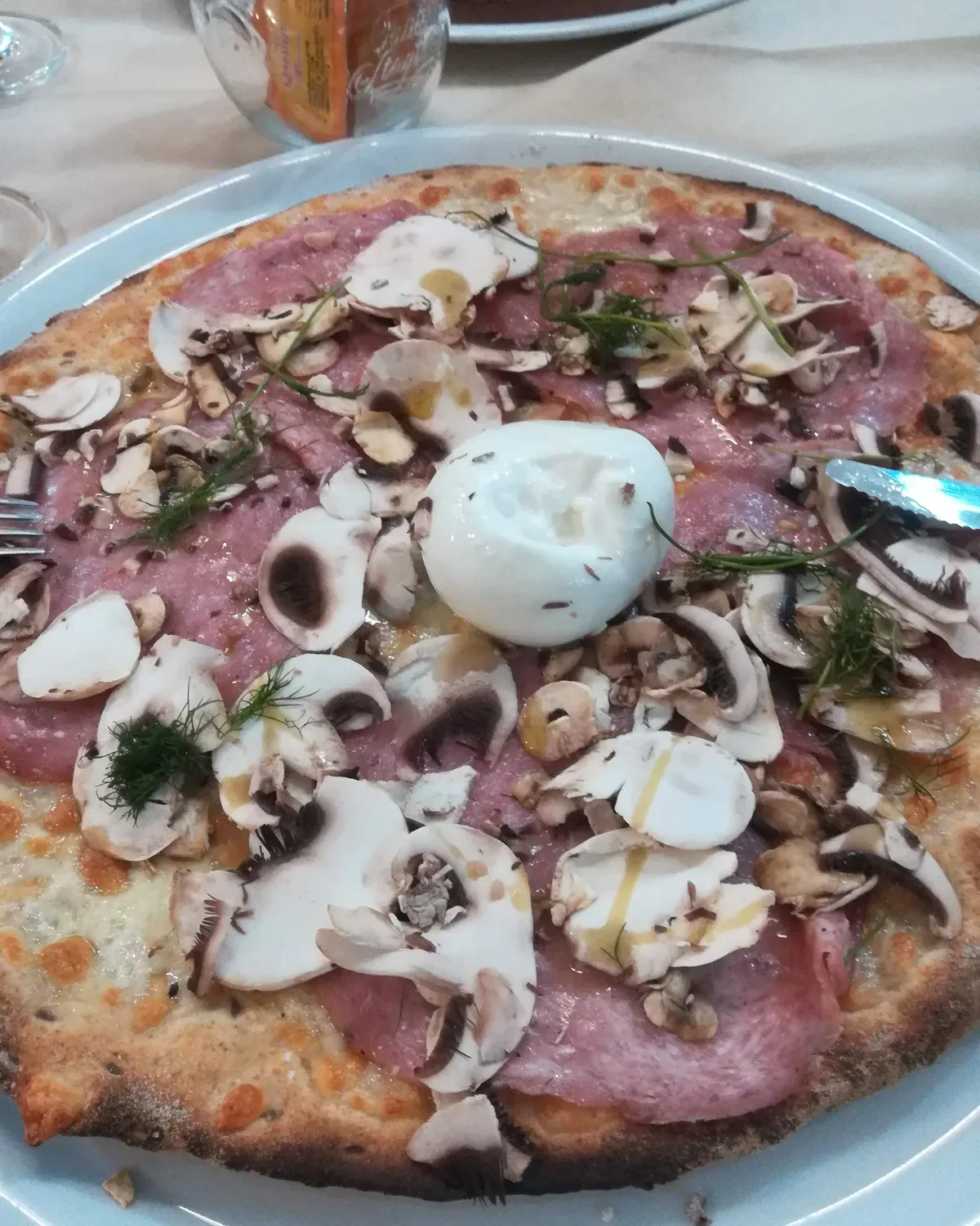 Funghi freschi e burrata